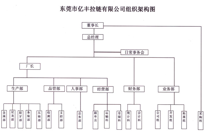 組織架構 - 東莞哈密瓜视频APP下载老司机苹果哈密瓜牛奶果冻视频APP有限公司