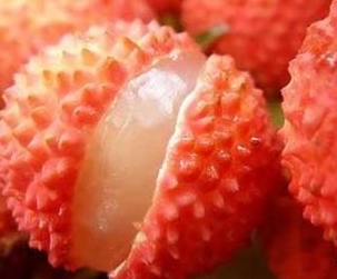 哈密瓜牛奶果冻视频APP荔枝